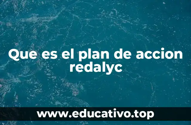 Que es el plan de accion redalyc