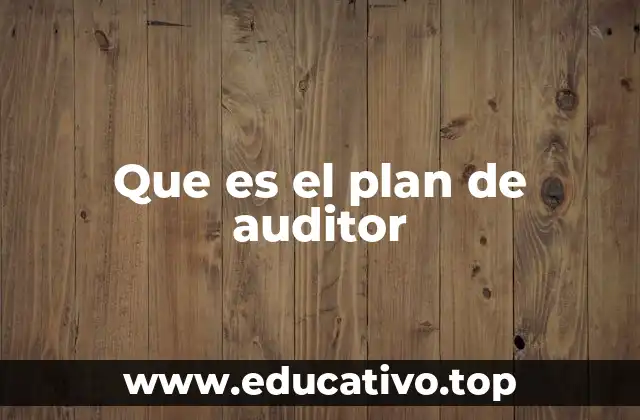 Que es el plan de auditor