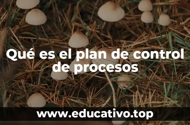 Qué es el plan de control de procesos