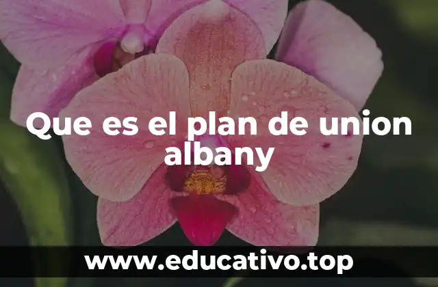 Que es el plan de union albany