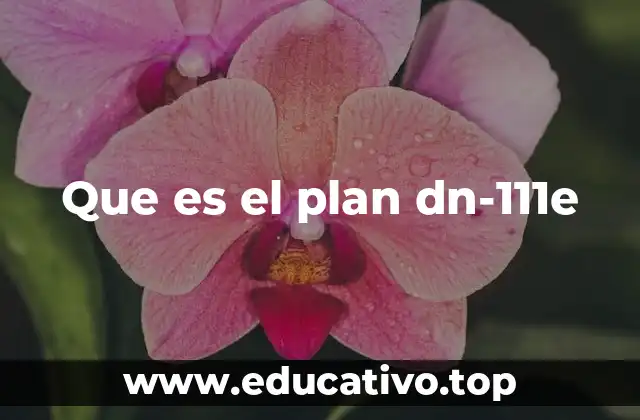 Que es el plan dn-111e