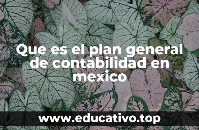 Que es el plan general de contabilidad en mexico