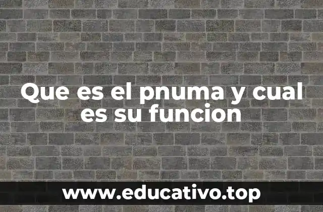 Que es el pnuma y cual es su funcion