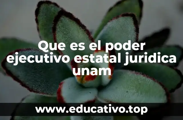 Estructura y funciones del poder ejecutivo estatal