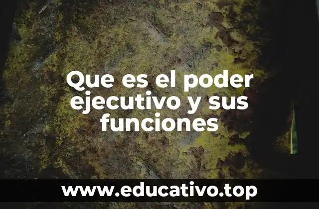 Que es el poder ejecutivo y sus funciones