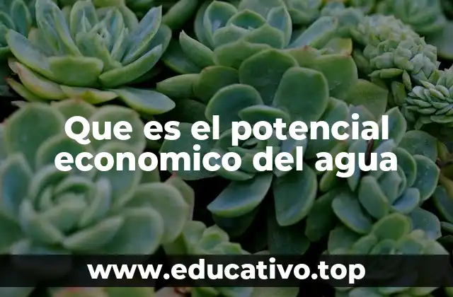 Que es el potencial economico del agua