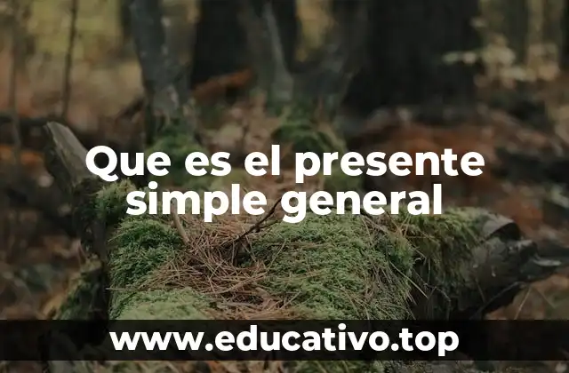 Que es el presente simple general