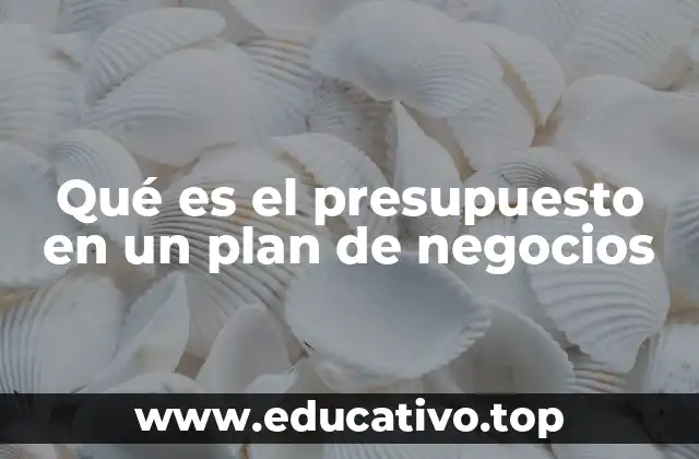 Qué es el presupuesto en un plan de negocios