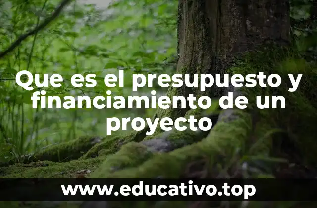 Que es el presupuesto y financiamiento de un proyecto