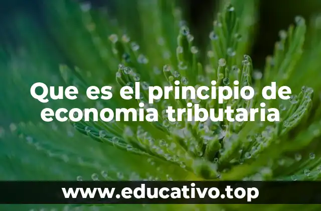 Que es el principio de economia tributaria