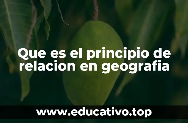 Que es el principio de relacion en geografia
