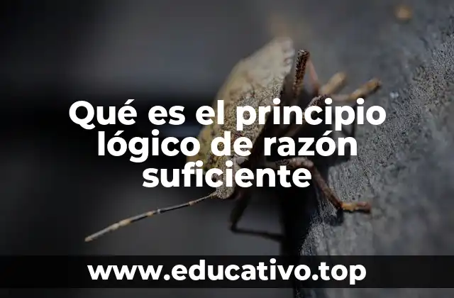 Qué es el principio lógico de razón suficiente