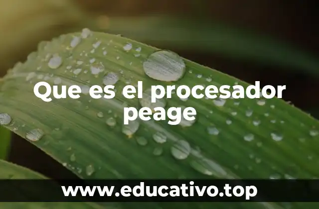 Que es el procesador peage