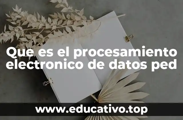 Que es el procesamiento electronico de datos ped