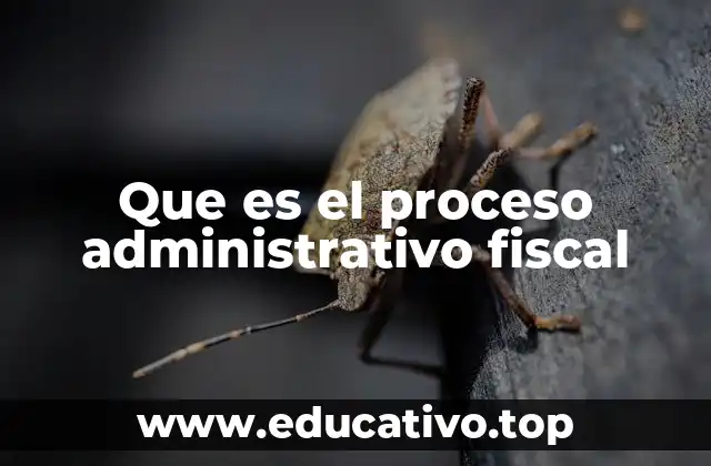 Que es el proceso administrativo fiscal