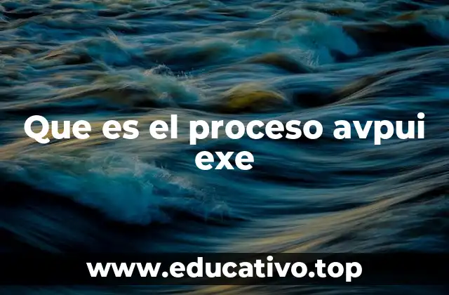 Que es el proceso avpui exe
