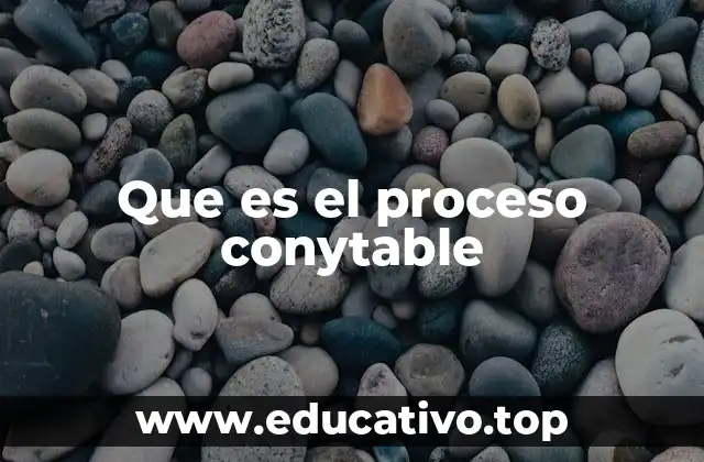 Que es el proceso conytable