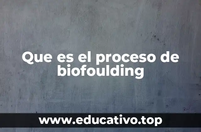 Que es el proceso de biofoulding