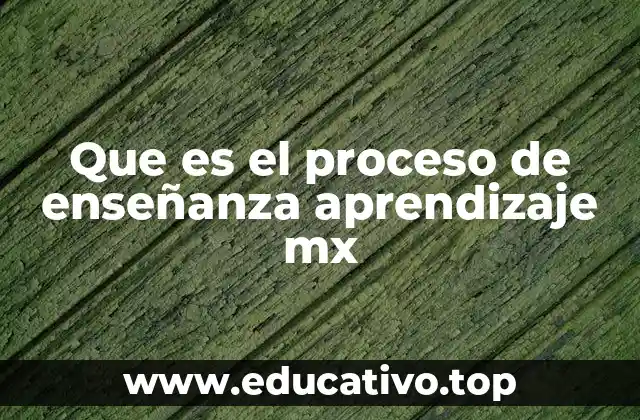 Que es el proceso de enseñanza aprendizaje mx