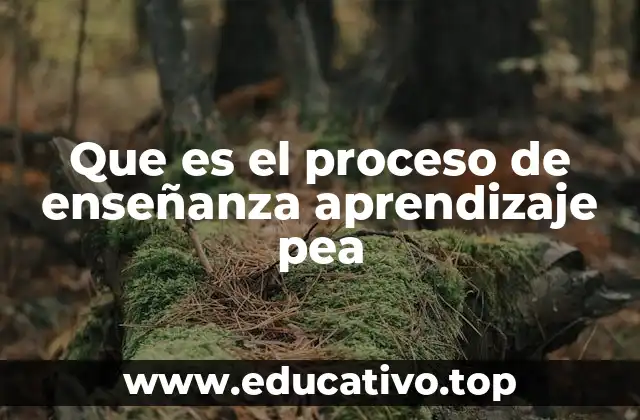 La interacción entre docente, estudiante y contexto