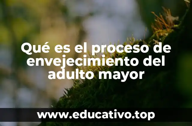 Qué es el proceso de envejecimiento del adulto mayor