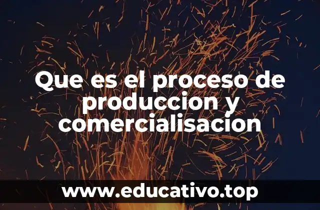Que es el proceso de produccion y comercialisacion