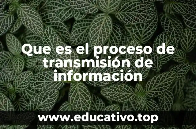 Que es el proceso de transmisión de información