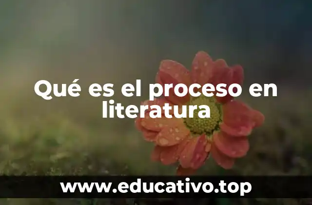 Qué es el proceso en literatura