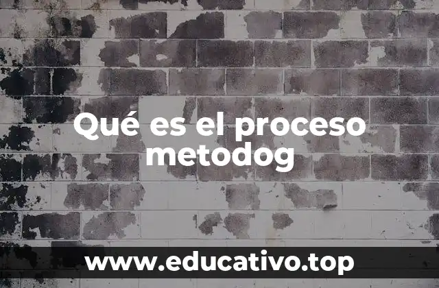 Qué es el proceso metodog