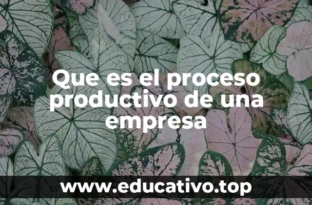 Que es el proceso productivo de una empresa