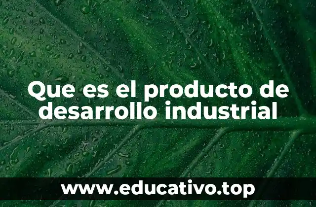 Que es el producto de desarrollo industrial
