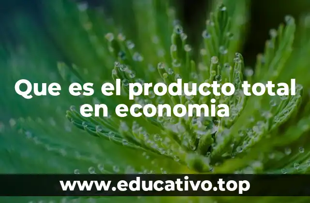 Que es el producto total en economia