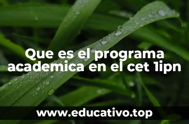 Que es el programa academica en el cet 1ipn