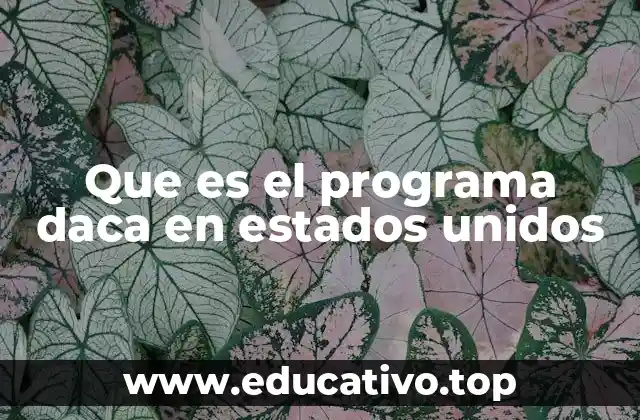 Que es el programa daca en estados unidos