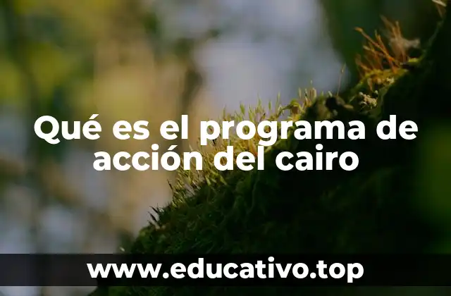 Qué es el programa de acción del cairo