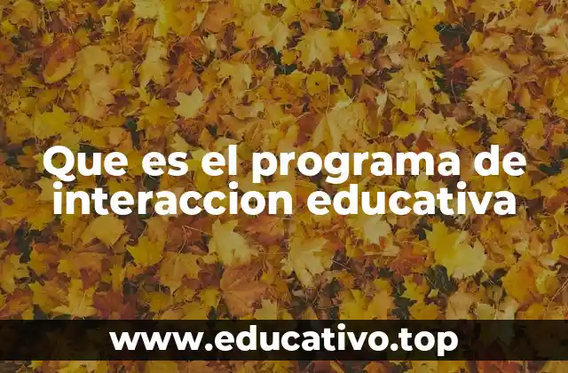 Que es el programa de interaccion educativa