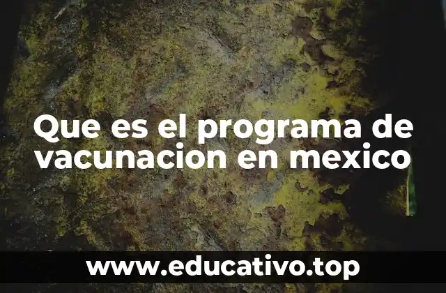 Que es el programa de vacunacion en mexico