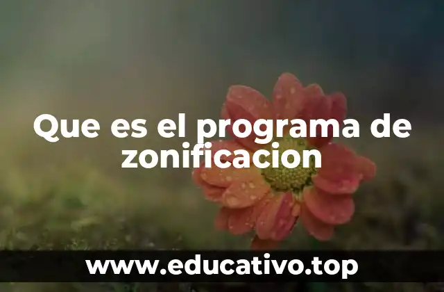 Que es el programa de zonificacion