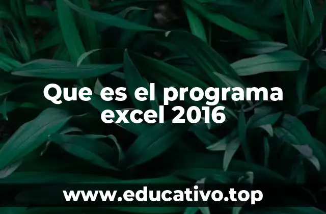 Que es el programa excel 2016