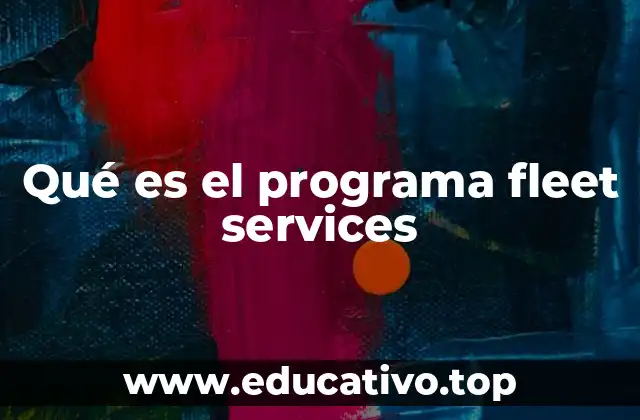 Qué es el programa fleet services