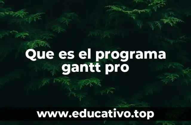 La importancia de una herramienta visual en la gestión de proyectos