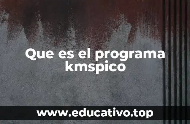 Que es el programa kmspico