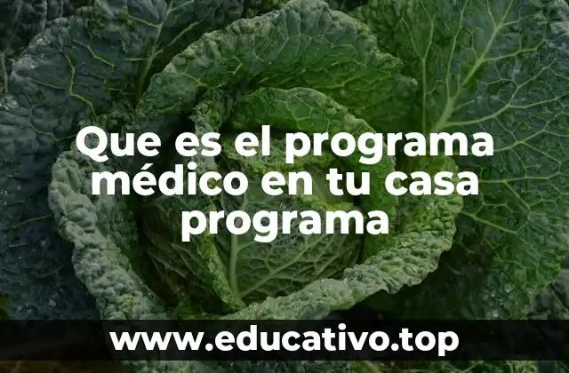 Que es el programa médico en tu casa programa