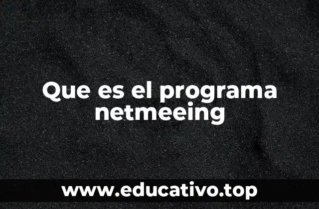 Que es el programa netmeeing