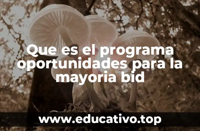 Que es el programa oportunidades para la mayoria bid