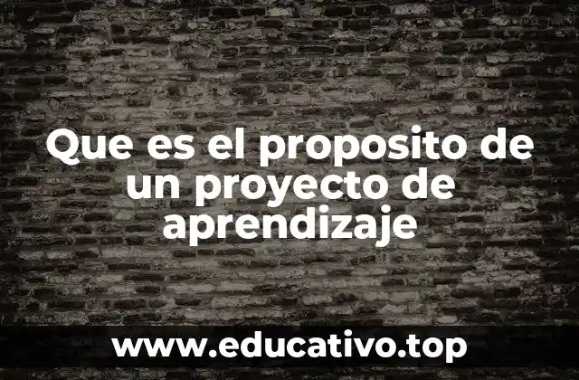 Cómo se define el propósito en el contexto educativo