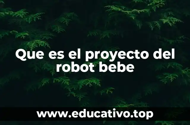 Que es el proyecto del robot bebe