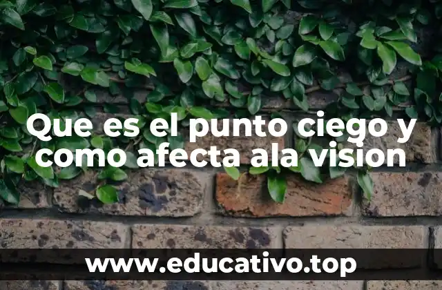 Que es el punto ciego y como afecta ala vision