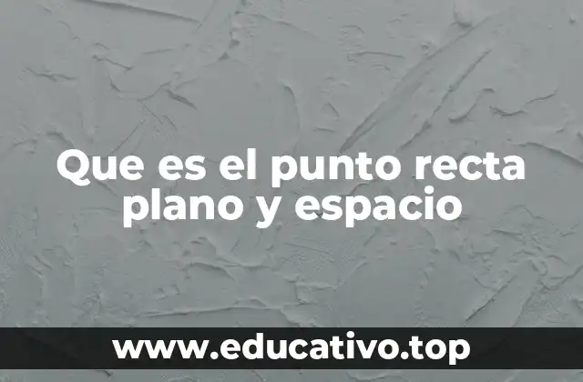 Que es el punto recta plano y espacio