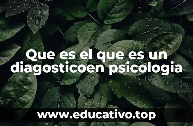 Que es el que es un diagosticoen psicologia